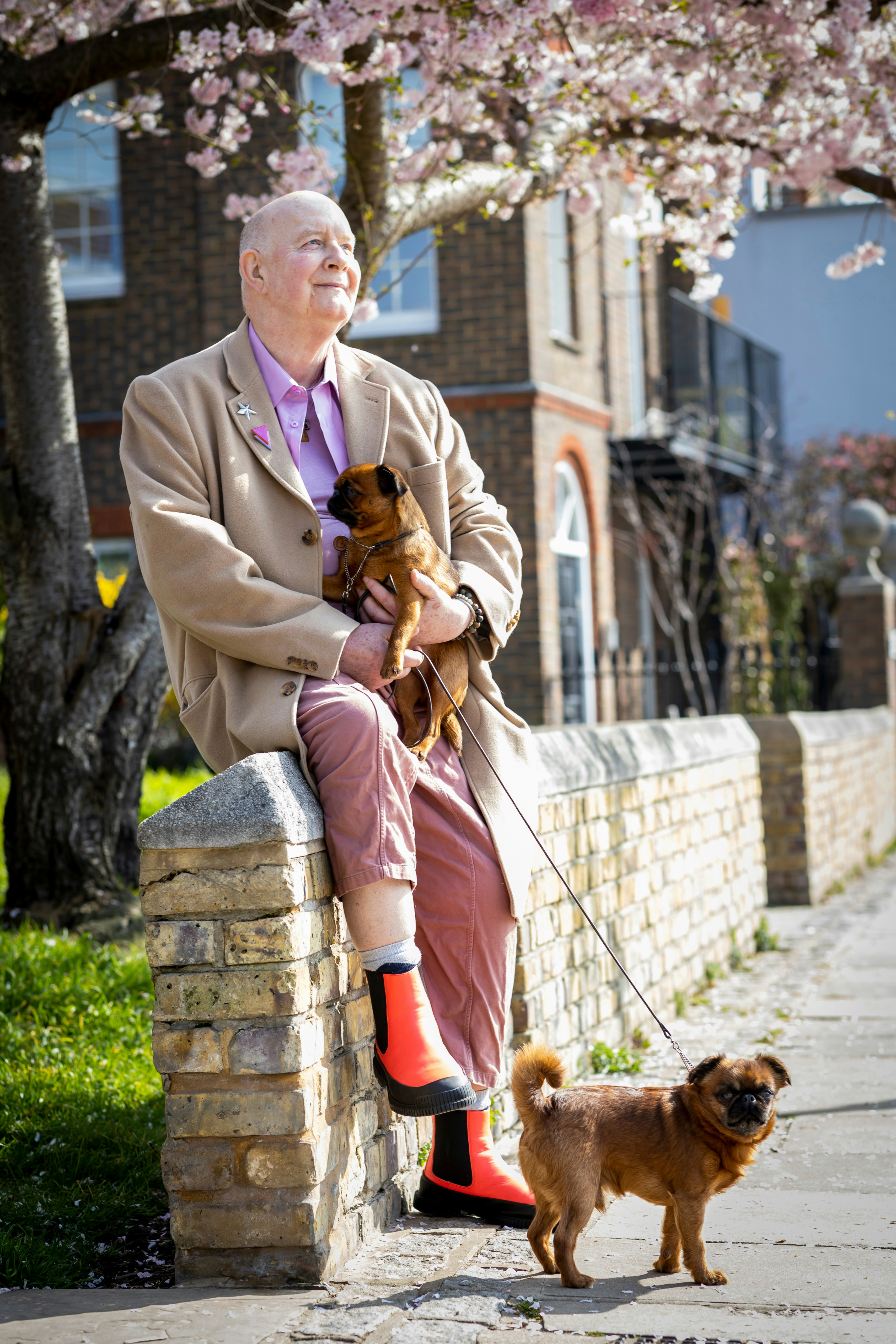 Elderly man with dogs enjoying outdoor life